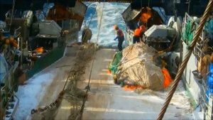 Девушка пела в церковном хоре. Памяти моряков БАТМ "Дальний Восток"