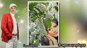 В зарослях черёмухи - Сергей Орлов