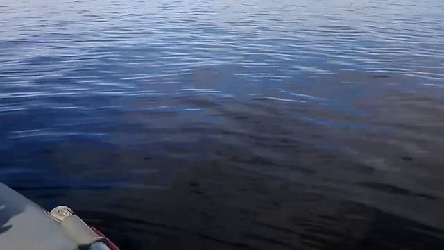 Ловля ЩУКИ на СПИННИНГ в Карелии. Fishing pike for spinning. Cентябрь 2016. смотреть онлайн