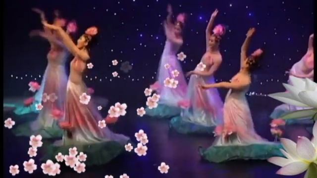 Lotus dance
#shipilovshows #музыкадлядуши #instrumental #relaxmusic #душевноеравновесие