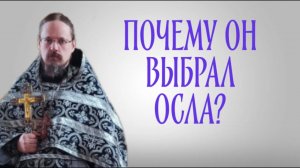 Почему Господь избрал осленка?