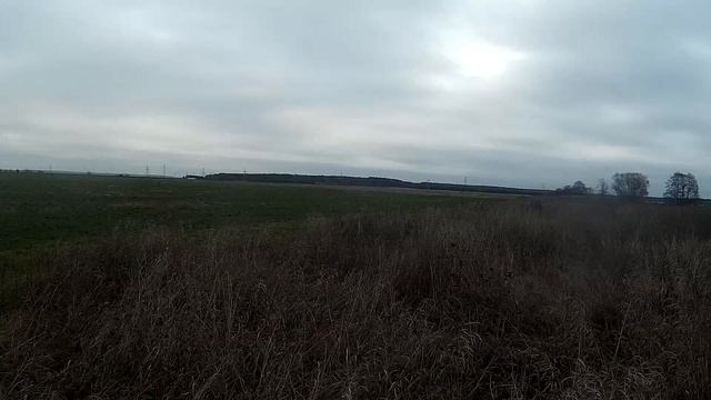 Открытие охоты на зайца 2022 в Беларуси смотреть онлайн