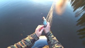 5 дней в тайге, ловим рыбу на сети. Рыбалка на крайнем севере. Готовим уху из щучьих голов.