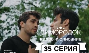Зимородок: описание 35 серии (кадры из серии и озвучка)