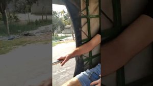 Работа на АЭС Бангладеш(поездка на рынок)