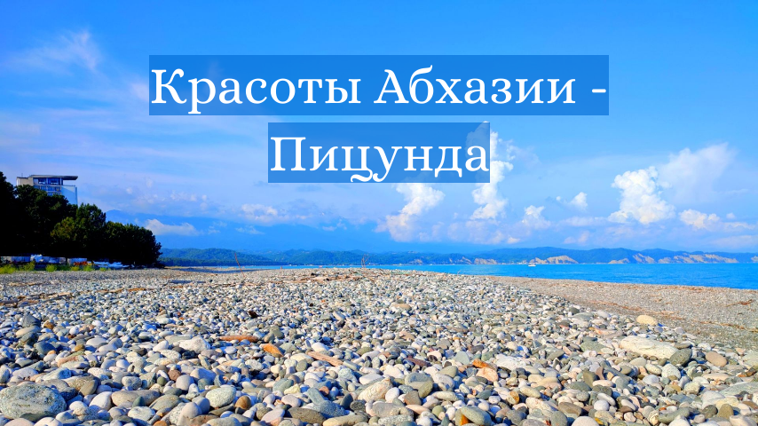 Красоты Абхазии  - Пицунда, реликтовая сосна