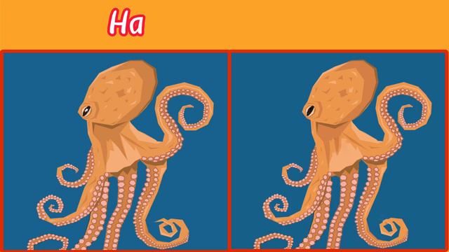 НАЙДИ ОТЛИЧИЯ! Не все могут найти