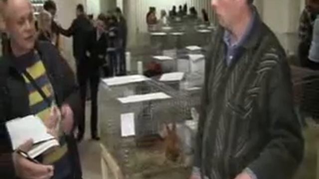 1-я Выставка Птицы и кроликов.Беларусь. смотреть онлайн