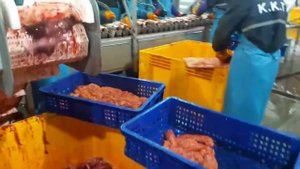 Как работает рыбный цех на Камчатке