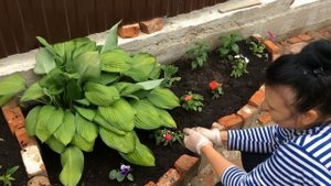 Ландшафтный дизайн участка!Интересная идея оформления входной группы около дома.