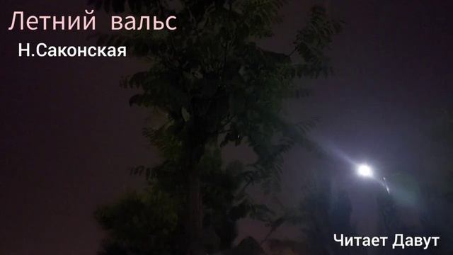 Нина Саконская - летний вальс . читает Давут смотреть онлайн