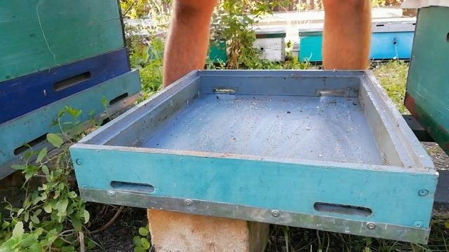 Сублиматор или бипин, контроль заклещеванности, осыпь клеща
