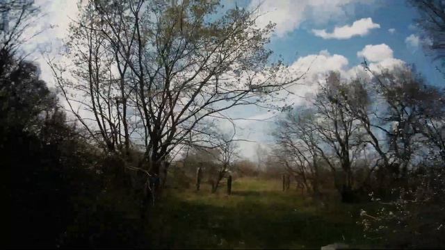 Вот она природа. Реки, леса, поля. смотреть онлайн