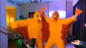 Поззи Украли курицы со стрима??