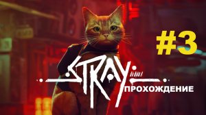 Stray | Ищем записные книжки | Трущебы | Прохождение #3