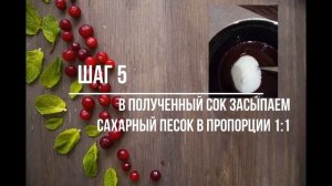 Желе из брусники  - Гусятина Ольга