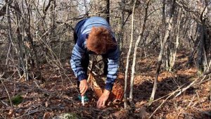 Где искать грибы в Крыму. Советы новичкам.