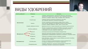 ЕГЭ Биология | КОРЕНЬ. СТЕБЕЛЬ