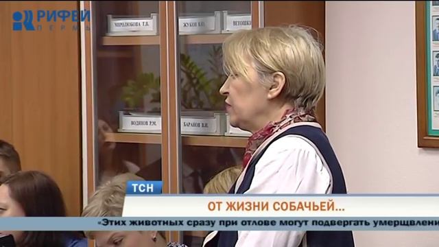 В Прикамье с начала года собаки покусали более 4 тысяч человек смотреть онлайн