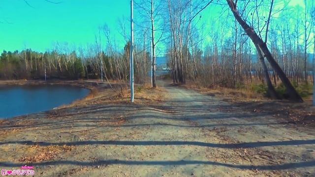 НАШЛА ЛОЛ ДОМ в реальной жизни! Истории с куклами Лол и Барби смотреть онлайн