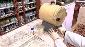 Расщепление крахмала ферментами слюны человека.