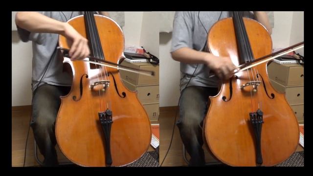 Purple Hazeをチェロ二重奏で演奏してみた。