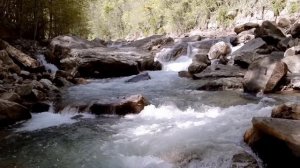 Брат ответил сестре её же словами, а она обиделась: "Мои дети - это совсем другое!"