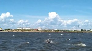 Прыжки на волнах. Кайтсёрфинг на Финском заливе