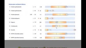 Интерпретация теста «Органические кислоты в моче» The Great Plains Laboratory (4/10).