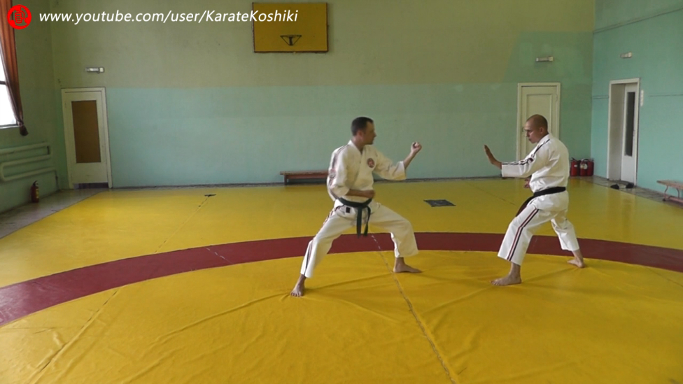 Принципы руками. Те Ваза Гокё Кумите (Te Waza Gokyo Kumite) Первый принцип. Первая часть.
