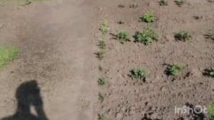 Дождеватель. Поливалка Улитка. Часть 2 модернизация