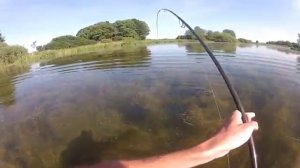 Ловля карпа очень красиво)