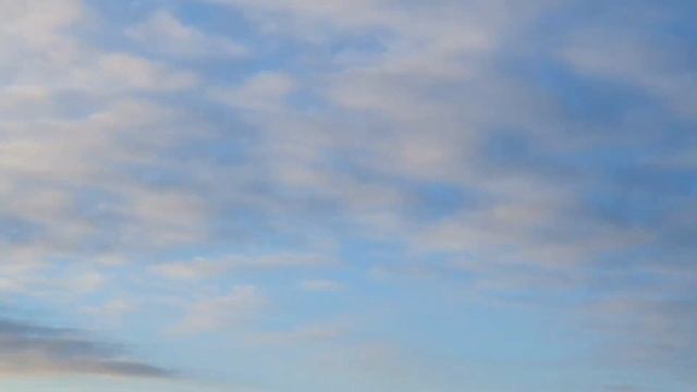 АНАПА - МЫ ТАКОГО ЕЩЁ НЕ ВИДЕЛИ! ДЕЛЬФИНЫ УТРОМ ЗИМОЙ! СИЛЬНО ХОЛОДНО! 27.11.2020 смотреть онлайн