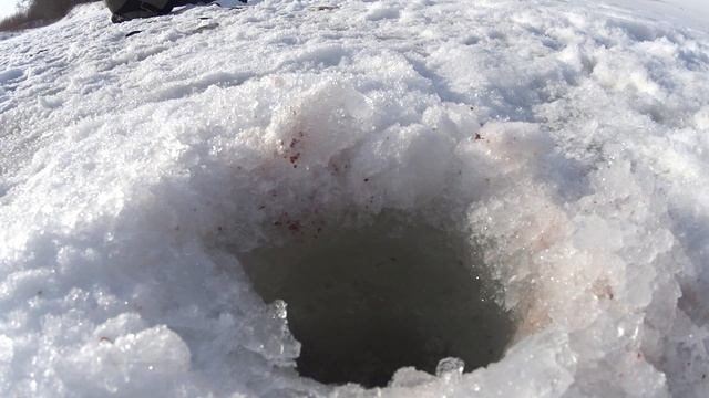 Плотва зимой на реке/отдых на льду. смотреть онлайн