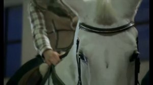 Екатерина Гусева и Максим Матвеев, "Спасибо за любовь", 2007