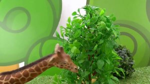 Куда сходить с ребенком? Сафари парк!