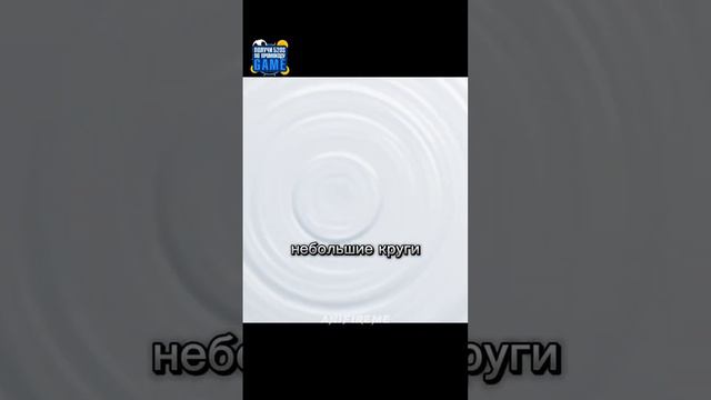 Нема просто хочет потискать и гладить пушистиков 😁🤭 | Нема станет злодейкой? 😏 #fluffyparadise