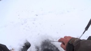 КРУПНЫЙ ОКУНЬ ПО ПЕРВОМУ ЛЬДУ 2023.