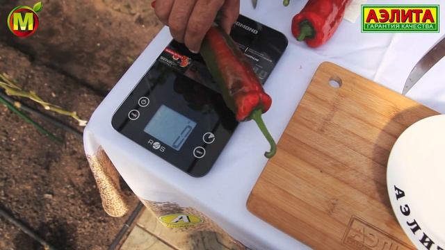 ПЕРЕЦ СЛАДКИЙ ГАСКОНЕЦ на сезон 2021 года смотреть онлайн