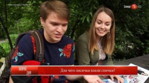 10.08.2017 Блиц: "Для чего лисички взяли спички?