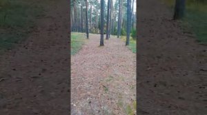 Посёлок Чистое 3 часть "Речка Чёрная"
