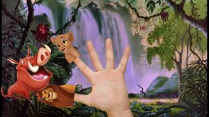 The Finger Family  The Lion King / король лев - Family Nursery