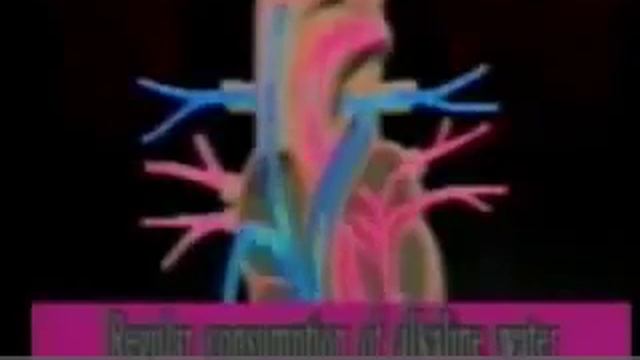 Щелочная вода для здоровья смотреть онлайн