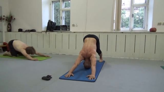 15.07.15-8 Виньяса 3 кольца со скользящей Чатурангой и ЛН в Падмасане в Саламбе Ширшасане смотреть онлайн