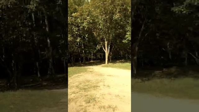 Дети на квадроцикле учимся кататься смотреть онлайн