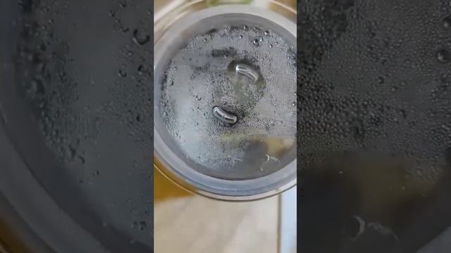 "От какао до Айс латте" видео-отзыв на вспенивать для молока Garlyn AF-01 Екатерины М. с Озон смотреть онлайн