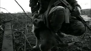 "Я не знаю зачем и кому это нужно..." (А. Вертинский)