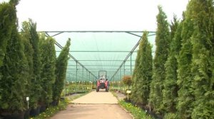 Питомник "Биосфера"