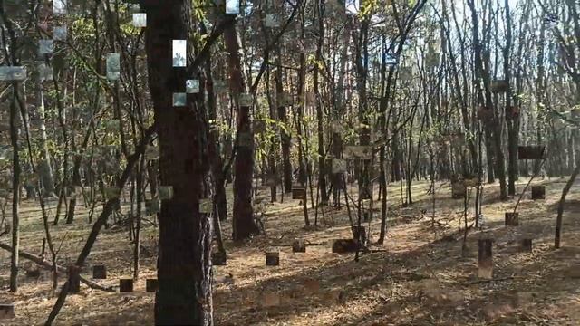 20 ноября народный праздник Федот Ледостав. Народные приметы и традиции. смотреть онлайн