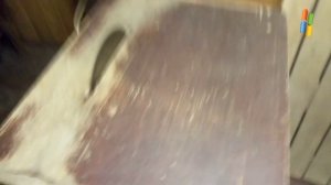 Самая мощная циркулярка в мире на 380 v !!!